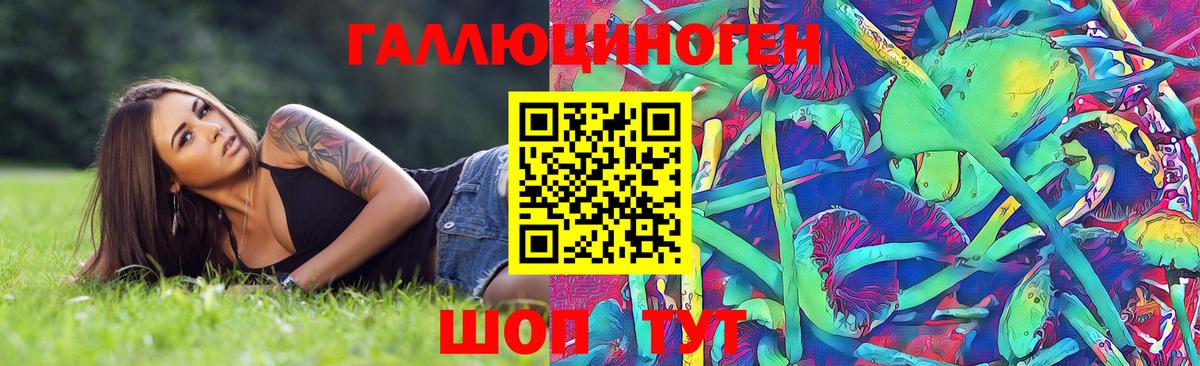 Галлюциногенные грибы MAGIC MUSHROOMS Кимовск