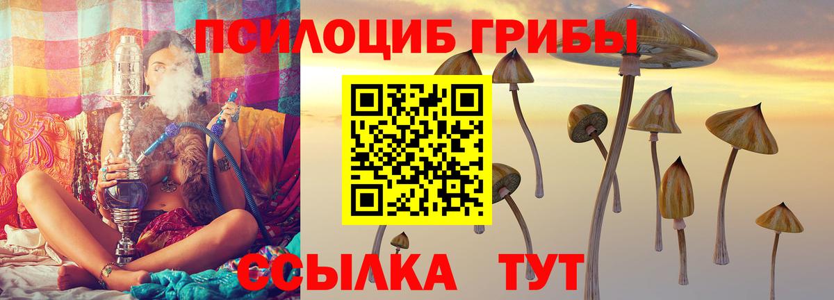 Галлюциногенные грибы Psilocybine cubensis  дарнет шоп  Кимовск  Галлюциногенные грибы Magic Shrooms  Вход с VPN 